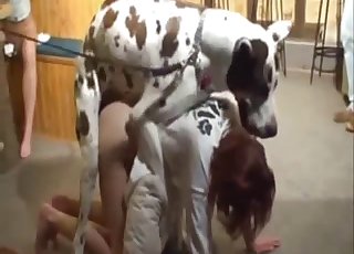 Doggy with a hard dick fucked her cunt