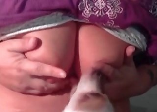Wet pussy is being licked by a puppy
