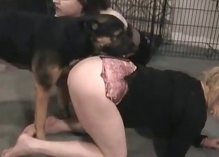 Dirty dog has to babes to choose from