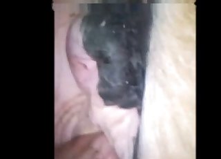 100% amateur and real bestiality vid