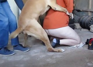 Awesome brown dog gets pleasure from bestiality