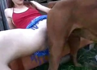 Stunning small dog fucked her wide-opened wet cunt