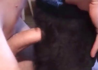 Dark beast fucks her tight ass