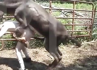 Wonderful farm animal bestiality sex with a good mongrel