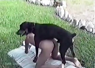 Good doggy fucked her pussy so hard