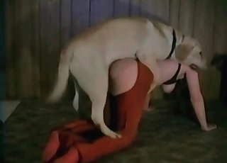 It's a great idea to fuck an animal