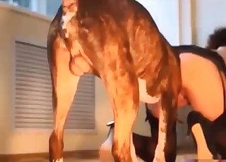 Sexy trained puppy likes fast sex