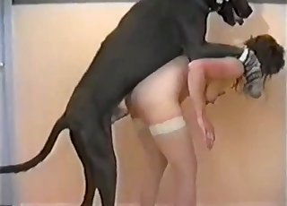 Sluts