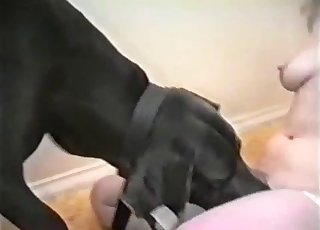 Slut in stockings obliterated by a dog